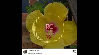 Give it to you