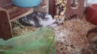 Knabber Spa&szlig;