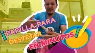 #PapillaparaCachorrosLactantes #CachorrosReciénacidos ||   How to make porridge to wean puppies