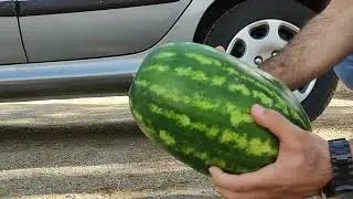 Раздавить арбуз под автомобильной шиной - раздавить предметы под шиной
