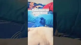 F por Sonic gente