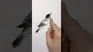 This Bird Drawing Looks ALIVE 😳✏️ | #shorts