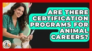 Are There Certification Programs for Animal Careers? | Animal Care Jobs