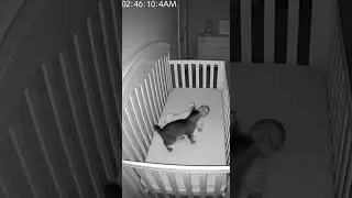 Cat Protects Baby From Invisible Ghost