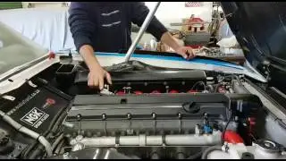BMW M88/S38 'Straight 6' Engine