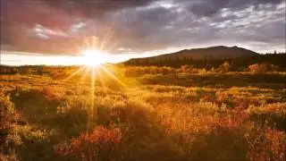 Quench feat. Lisa Worley - Embrace the Sunshine (Radio Edit)