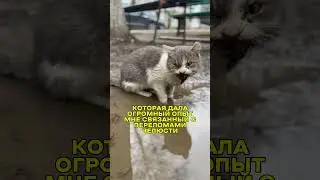 Красавица