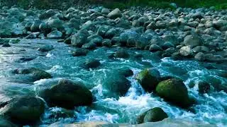 Tropical Forest River for Deep Relaxation, Zen, Sound Sleep