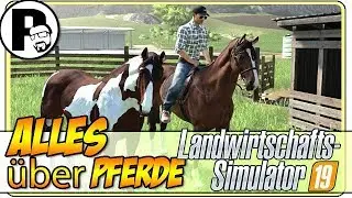 LS19: ALLES &uuml;ber die Pferde und den Pferdestall | #Pecihof [Landwirtschafts Simulator 19][FS19]