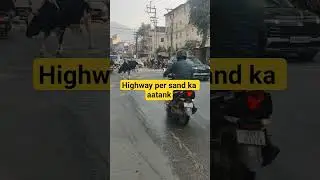 Highway per sand ka aatank #varls #shots #