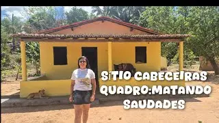 SÍTIO Cabeceiras-Barbalha-Quadro-Matando saudades!