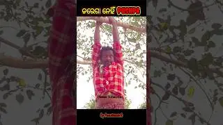 Where is Pushpa? | Pushpa 2 - The Rule 🔥 | Hindi | Allu Arjun | #youtubeshort #shorts