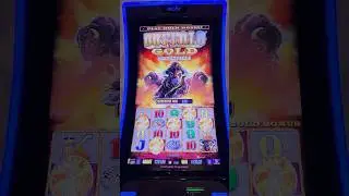 5 COINS on $18 MAX BET BUFFALO GOLD