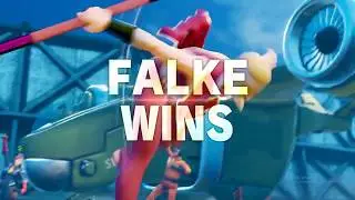 Falke VS Birdie SFV