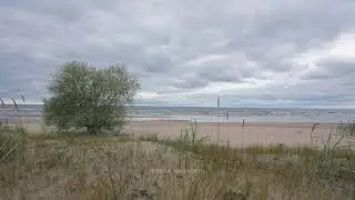 5am quiet sea meditation music for reading, writing and studying #relaxing #studymusic 4K real video