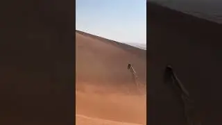 Raptor Vs Dune! #dubai #uae #abudhabi #dunes #fordraptor #raptor #4x4 #offroad #offroading