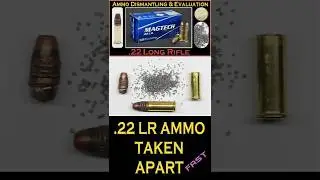 🌟22LR Ammo Taken Apart - #22LR, #Rimfire, #Ammo, #Shorts, #ReloadingandMore