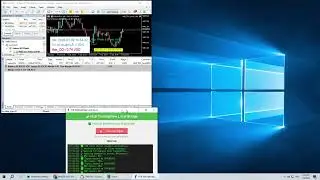 Giải ph&aacute;p MT5 mở lệnh theo TradingView m&agrave; kh&ocirc;ng cần bản TradingView trả ph&iacute;.