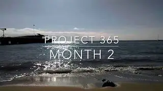 Project 365: Month 2