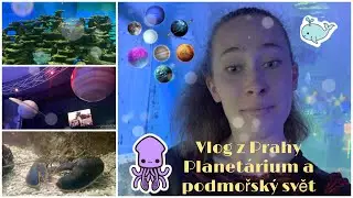 Vlog z Prahy | Planetárium a podmořský svět 🪐🐙