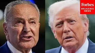 Chuck Schumer Torches Trump's Tariffs After 'Abysmal' August Jobs Report