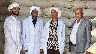 DINA FOOD PROCESSING | AINFP CLIENT | ETHIOPIA