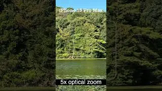 iPhone 15 Pro Max vs Mirrorless Camera #iphone #iphone15promax #om1 #omsystem