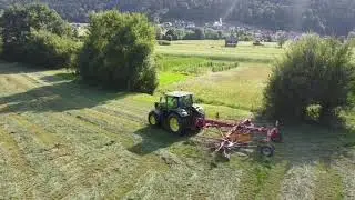 |10|Raking clover 2021