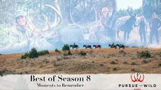 Best of Season 8 – Moments to Remember