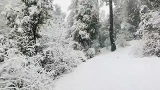 Murree Live Today Weather News Murree Mall Road Live Snowfall Heavy Snowfall2026 #murree #4k #2025