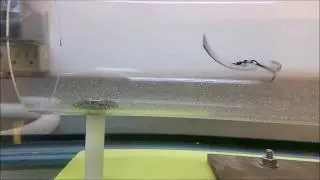 test-tank lure test