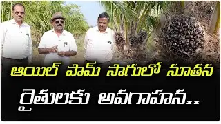 ఆయిల్ పామ్ సాగు ఆర్గానిక్ పద్ధతి లో ఎలా చేస్తే మంచి దిగుబడిఆదాయం వస్తుందో అనే విషయాలపై ఫీల్డ్ విజిట్