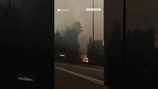 At least 16 killed as forest fires ravage Chile's Bio Bio and Nuble regions