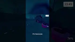 What Happens When You Try To Go To Bed In GRUNN