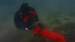 scooteriste fou
