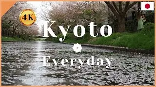 🌸4/2/2021 Sakura boat (Jikkokubune)