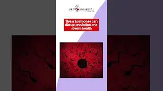 Feeling Stressed While Trying to Conceive? | How Stress Affects Fertility | Gem IVF Centre