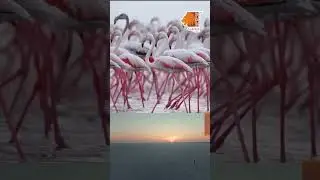 Rann of Kutch - India Today Tourism Survey & Awards 2023