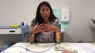 Catheter - Post REZUM Procedure