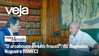 &ldquo;O arcabou&ccedil;o &eacute; muito frouxo&rdquo;, diz Reginaldo Nogueira (IBMEC)