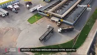 La viande brésilienne va se retrouver dans nos assiettes en France.