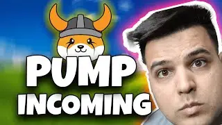 Floki Inu 🚨THIS is WHY We Will Pump