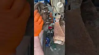 Why Fiats are that rusty? #fiat #panda