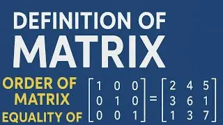 👉 Matrix Explained: Definition, Order & Equality of Two Matrices | Easy Math Lesson