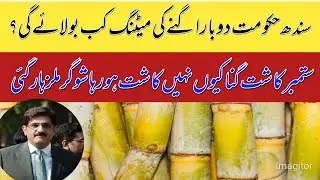 shugarcane rates new updates/Shugarmil meetings information today 2024/local farmers