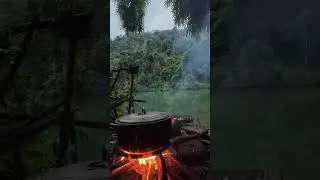 Cooking rice in the middle of the wild nature #countryside