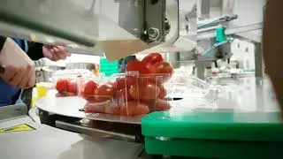 PAKFRUT PID-130 POMODORO CHERRY - CHERRY TOMATOES