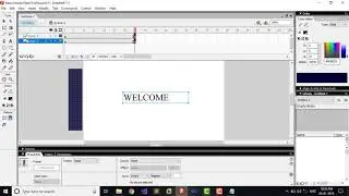 Masking In Flash 8