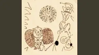 Insect Eyes