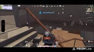 LIVE FUN WITH BRUCE LEE GAMING